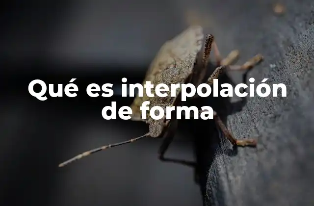 Qué es Interpolación de Forma