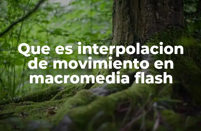 Que es Interpolacion de Movimiento en Macromedia Flash