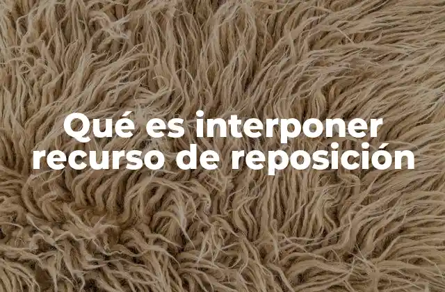 Qué es Interponer Recurso de Reposición