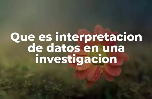 Que es Interpretacion de Datos en una Investigacion 2 El rol de la interpretación en el proceso científico