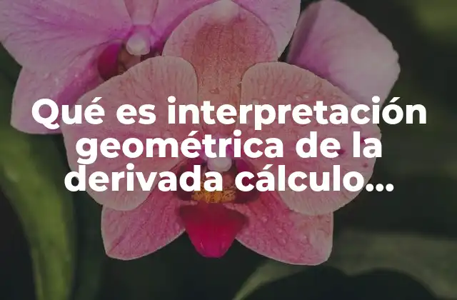 Qué es Interpretación Geométrica de la Derivada Cálculo Diferencial
