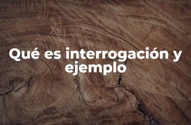 Qué es Interrogación y Ejemplo