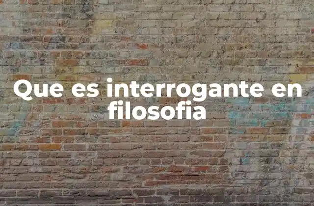 Que es Interrogante en Filosofia