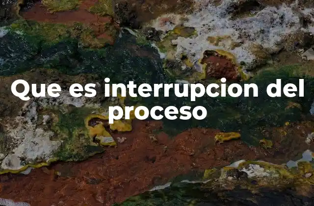 Que es Interrupcion Del Proceso