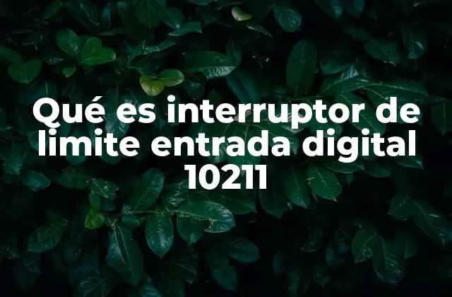 Qué es Interruptor de Limite Entrada Digital 10211