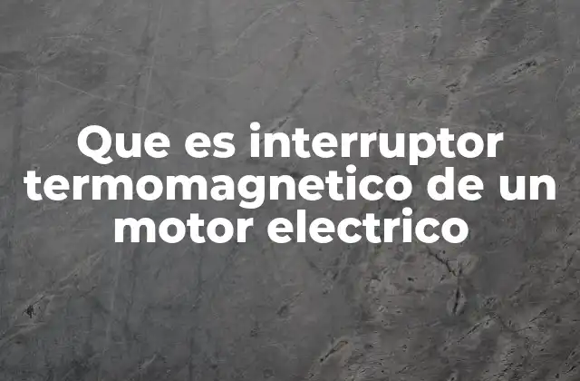 Que es Interruptor Termomagnetico de un Motor Electrico