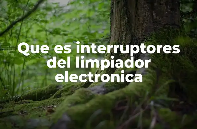 Que es Interruptores Del Limpiador Electronica