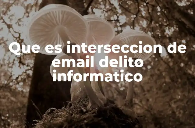 Que es Interseccion de Email Delito Informatico 2 El correo electrónico como vector de transmisión de delitos cibernéticos
