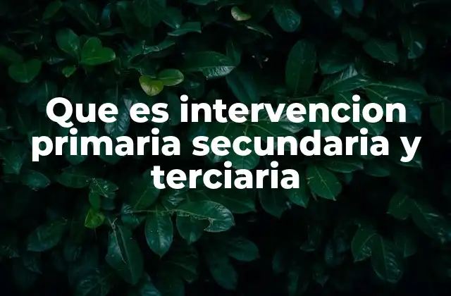 Que es Intervencion Primaria Secundaria y Terciaria