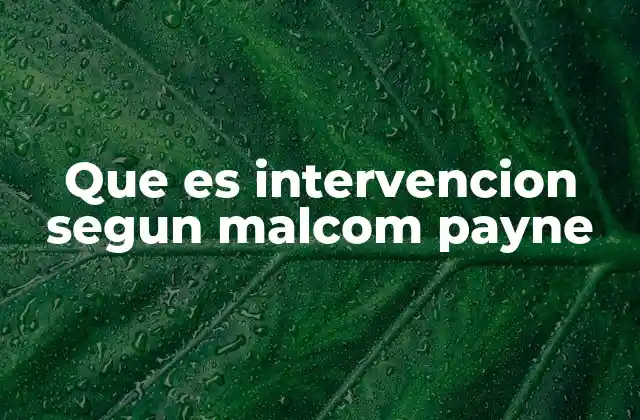 Que es Intervencion Segun Malcom Payne