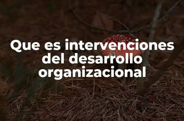 Que es Intervenciones Del Desarrollo Organizacional