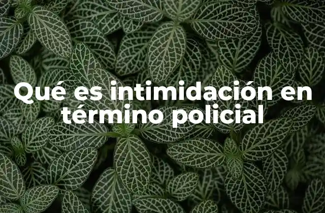 Qué es Intimidación en Término Policial