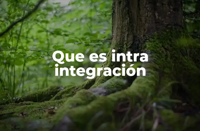 Que es Intra Integración
