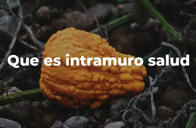 Que es Intramuro Salud