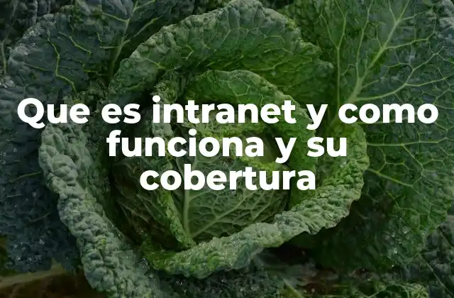 Que es Intranet y como Funciona y Su Cobertura