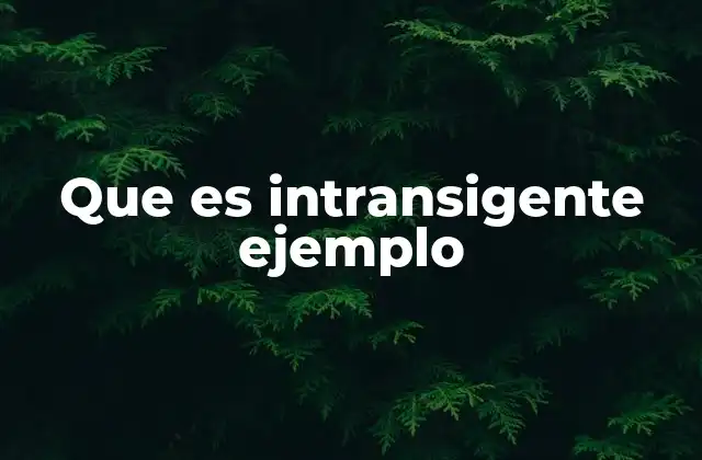 Que es Intransigente Ejemplo