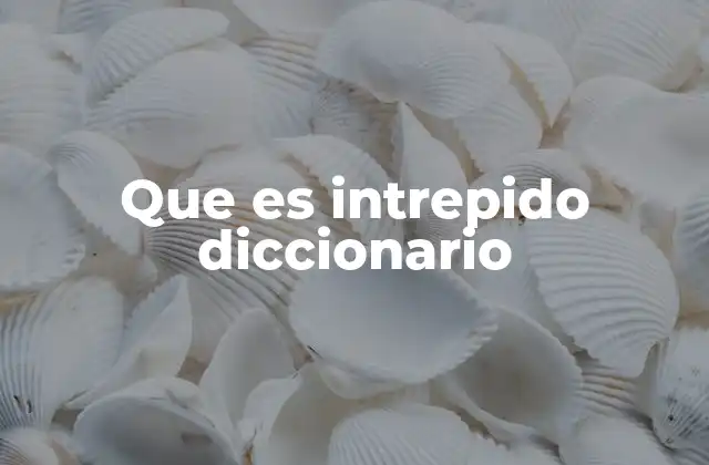 Que es Intrepido Diccionario