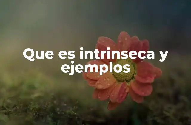 Que es Intrinseca y Ejemplos