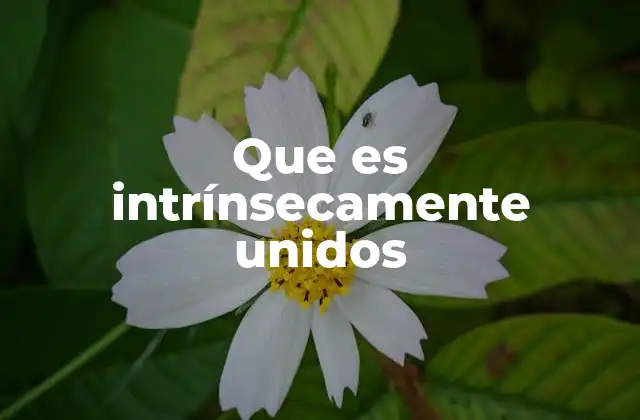 La importancia de las relaciones esenciales en la filosofía