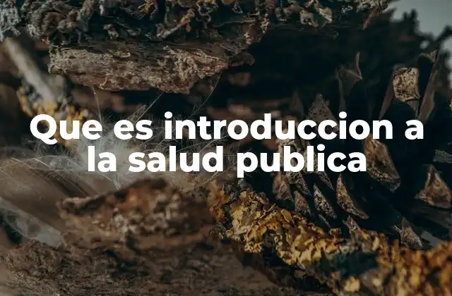 Que es Introduccion a la Salud Publica