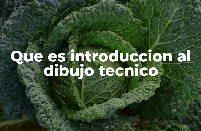 Que es Introduccion Al Dibujo Tecnico