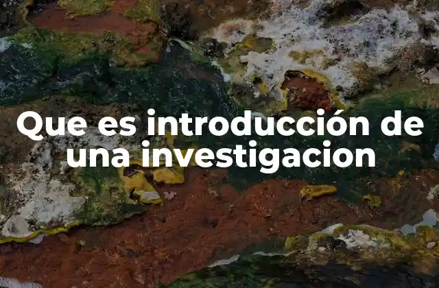 Que es Introducción de una Investigacion