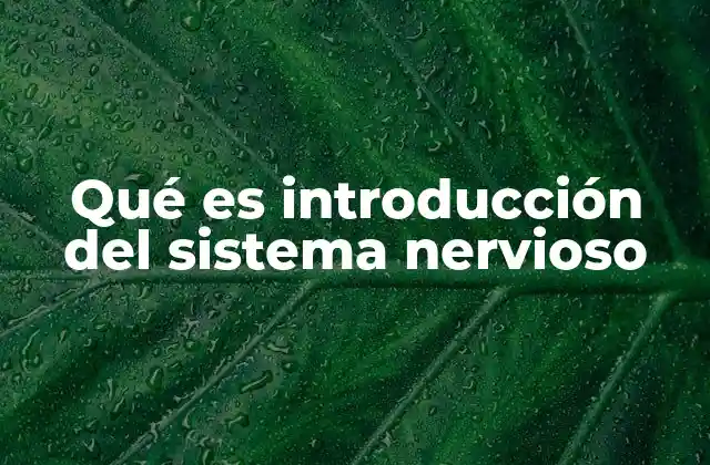 Qué es Introducción Del Sistema Nervioso