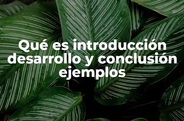 Qué es Introducción Desarrollo y Conclusión Ejemplos