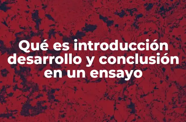 Qué es Introducción Desarrollo y Conclusión en un Ensayo
