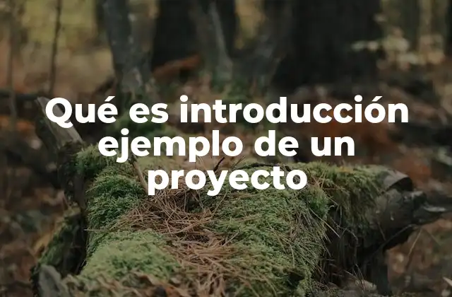 Qué es Introducción Ejemplo de un Proyecto