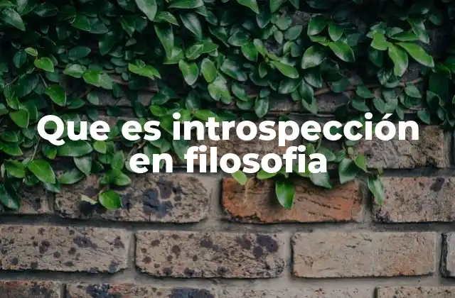 Que es Introspección en Filosofia