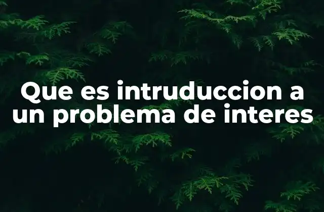 Que es Intruduccion a un Problema de Interes