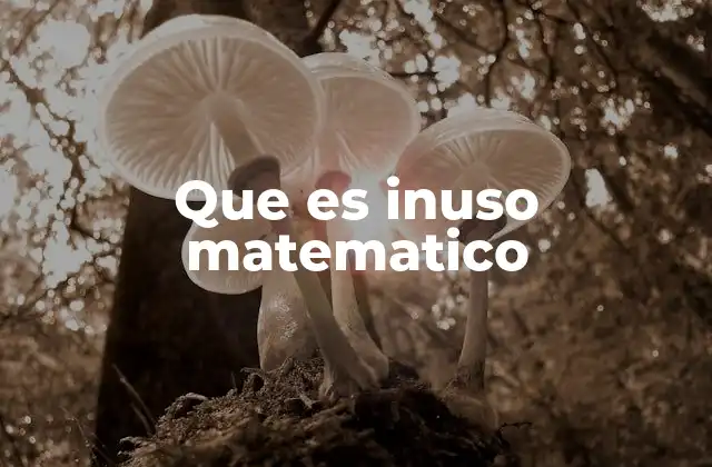Que es Inuso Matematico