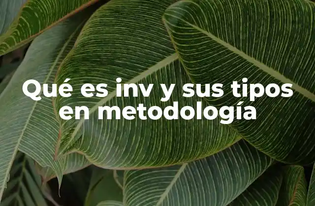 Qué es Inv y Sus Tipos en Metodología