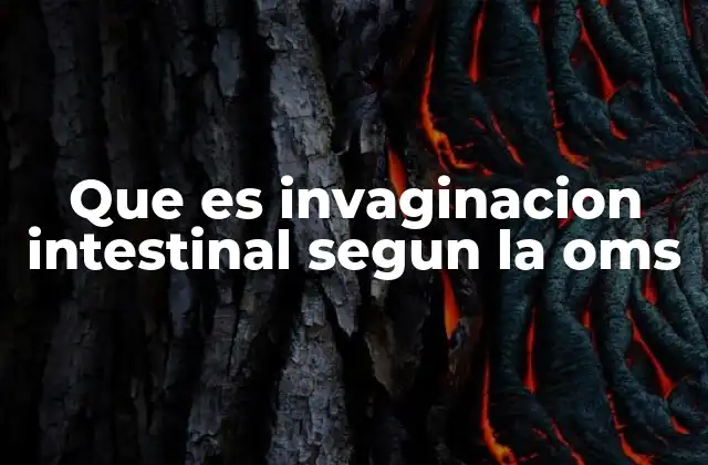 Que es Invaginacion Intestinal Segun la Oms 2 Características de la invaginación intestinal reconocidas por la OMS