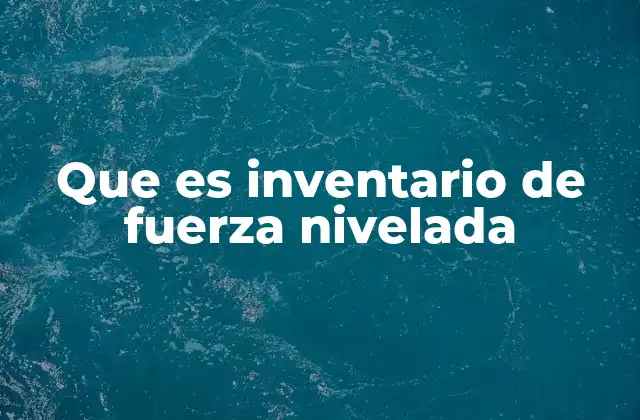 Que es Inventario de Fuerza Nivelada