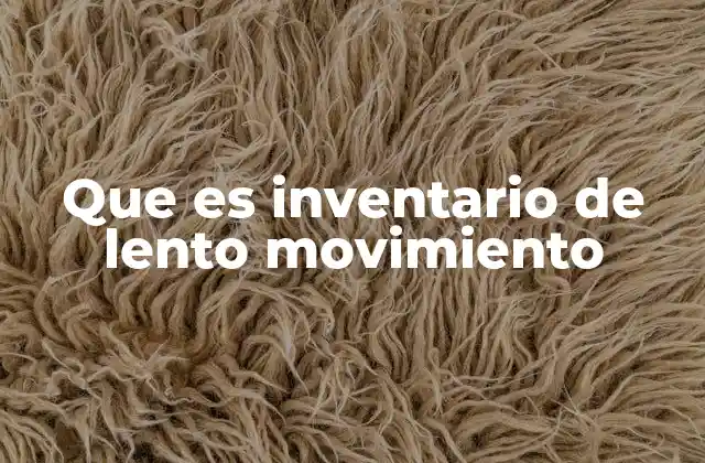 Que es Inventario de Lento Movimiento