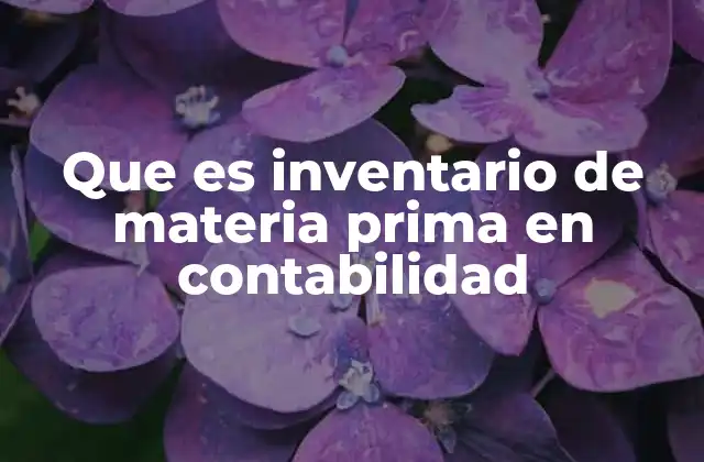 Que es Inventario de Materia Prima en Contabilidad 2 La importancia del inventario de materia prima en la gestión empresarial
