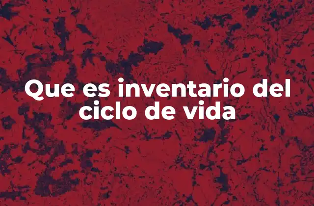 Que es Inventario Del Ciclo de Vida
