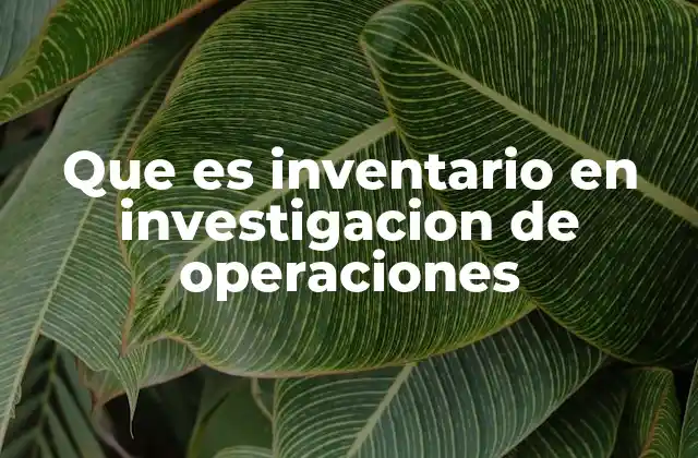 Que es Inventario en Investigacion de Operaciones