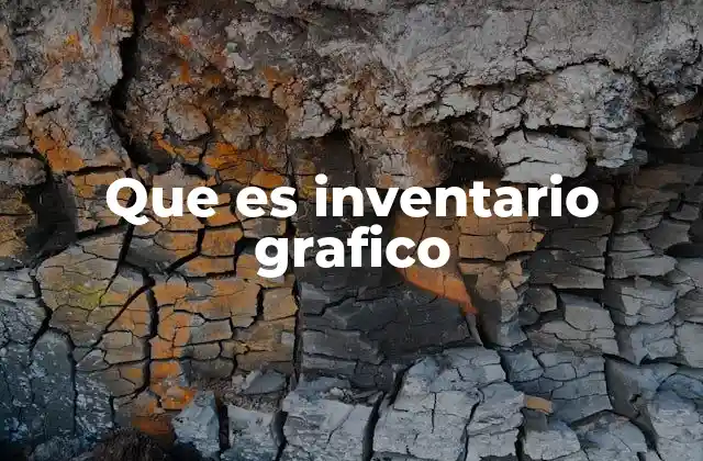 Que es Inventario Grafico