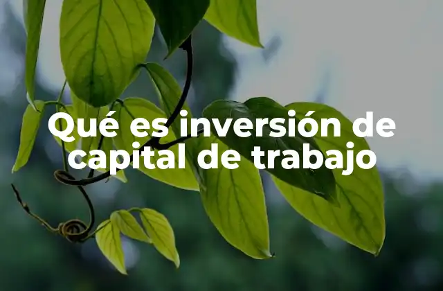 Qué es Inversión de Capital de Trabajo
