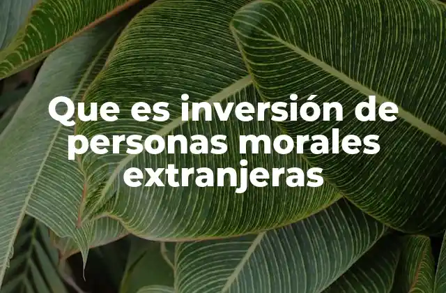 Que es Inversión de Personas Morales Extranjeras