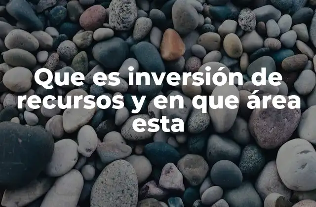Que es Inversión de Recursos y en que Área Esta