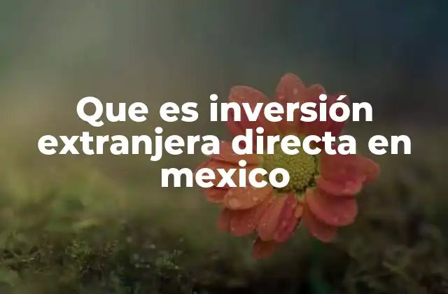 Que es Inversión Extranjera Directa en Mexico