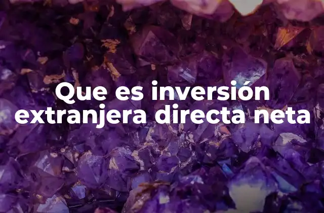 Que es Inversión Extranjera Directa Neta