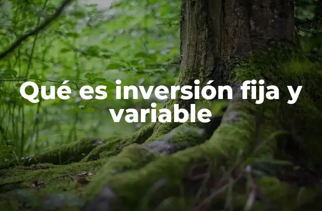 La importancia de clasificar los recursos empresariales