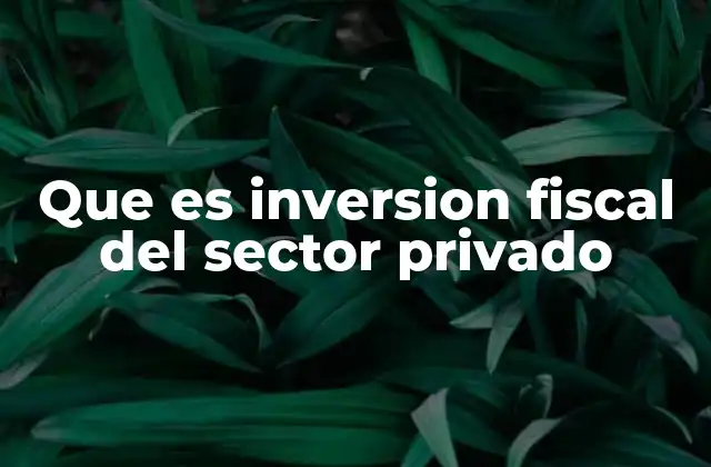 Que es Inversion Fiscal Del Sector Privado 2 El papel de la inversión privada en el desarrollo económico
