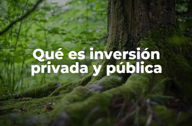 Qué es Inversión Privada y Pública