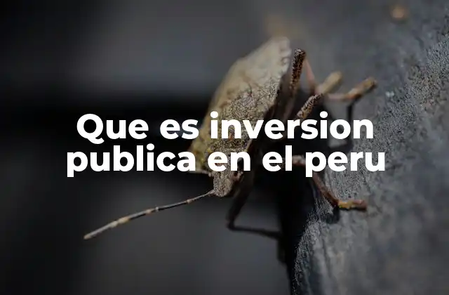 Que es Inversion Publica en el Peru